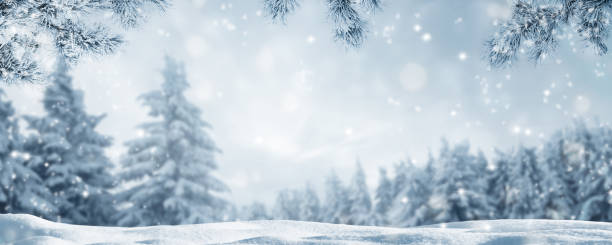 2/3 - Gym Closed Due to Inclement Weather