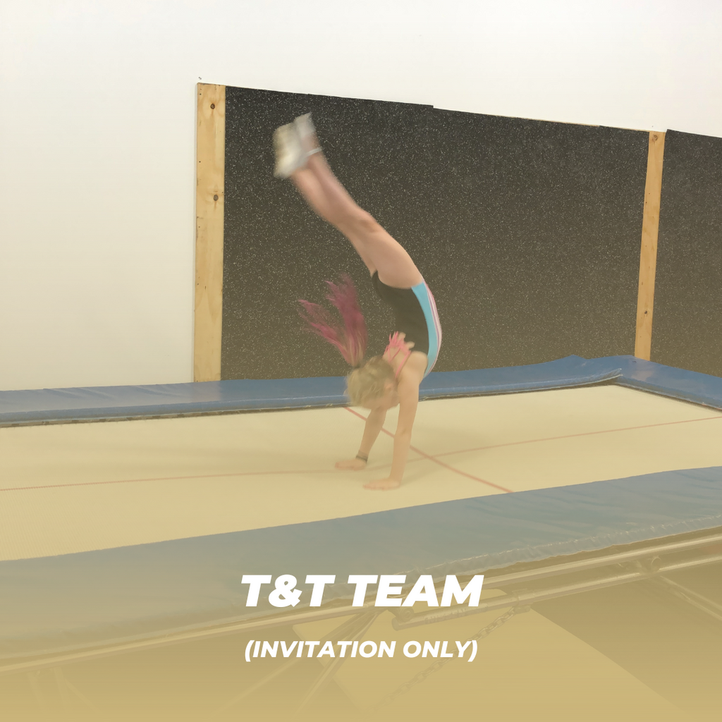Trampoline and Tumbling - I-Power Gymnastics