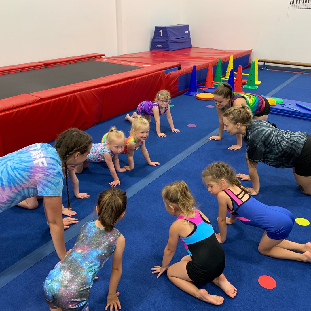 Kid's Gymnastics Classes and more